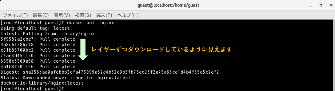 image-1677747375572